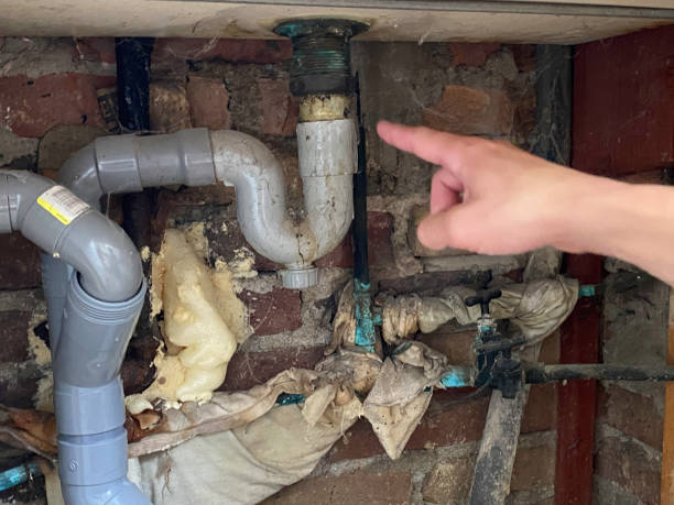  Bartow, FL Water damage restoration Pros