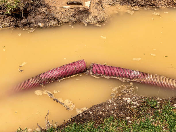 Best Emergency water damage restoration  in Bartow, FL