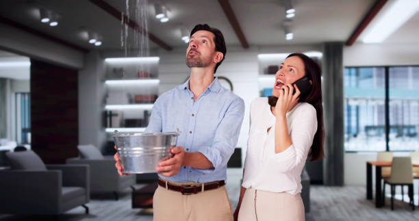 Best Residential water damage restoration  in Bartow, FL