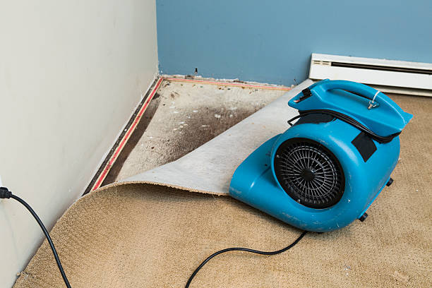 Best Commercial water damage restoration  in Bartow, FL